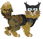 Calluna's Smashing and Dashing at Medusa — “Azula”