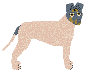 Profile image of Lustre City of Owls and Olives