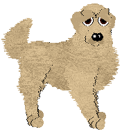 Sz's Zero Shadow Day — “Noon”