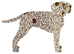 Profile image of Dragosani ZAPOMNIANA KSIĘGA