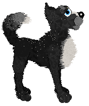 The Doghouse Magical Mysteria — “Hysteria”