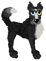 Profile image of The Doghouse Magical Mysteria