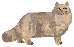 Monocle's Up and Move — “Transplant”