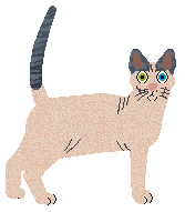 Cymophane Radiant Crown — “Helios”