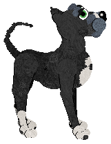 Bec's Talk of the Ton at Medusa — “Bon”