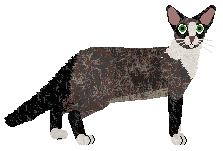 Profile image of Aftermath Indigo Night