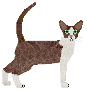 Profile image of Aftermath Wild Flower