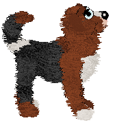 Shortbread's Healer at SzK — “Jace”