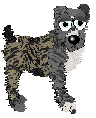 Sz's Tying Up Loose Ends — “Thread”