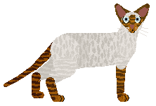 Aftermath Fight Fire With Fire — “Finnick”