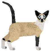 Aftermath Slo-Mo-Tion — “Ciaran”