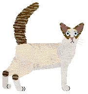 Aftermath Lonely Girl — “Sansa”