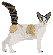 Profile image of Aftermath Break the Spell