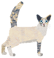 Aftermath Don't Sey Goodbye — “Nacre”