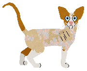 Velour Reflections of a New Year — “Reflect”