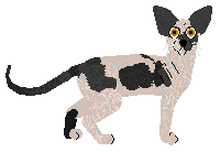 Velour's Waste of Time and Space — “Overthink”