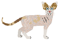 Velour Savage Love — “Savage”