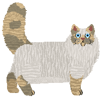 Aftermath Deszczowa Piosenka — “Mżawka”