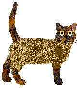 Blizzard Things Got Messy — “Sassy”