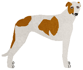Profile image of Polka PIERWSZY RAZ