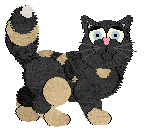 Kaelci/Witz's Solved the Case — “Adept”