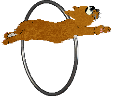 Amphigory's Sleight of Paw @ Mockingbird — “Dexterity”