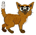 Profile image of Amphigory's Jungle Crown @ Mockingbird