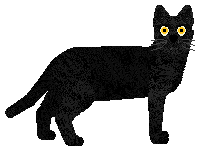 SECHE Gubisz ostrość — “Ferrari”