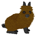 Profile image of Pendragon's Berry