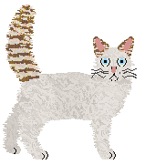 Cymophane Sure, Why Not Kansas? — “Burn”