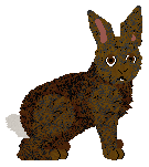 Profile image of HUNCWOCI Zgredek