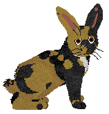 Profile image of HUNCWOCI Wingardium Leviosa