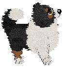 Profile image of Moonvale's Grand Tourer at Aura