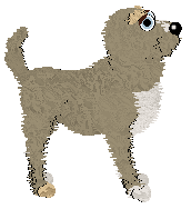 Boheme's Talk Back @ Mockingbird — “Versicle”