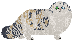 Filigree's Strut Your Stuff — “Catwalk”