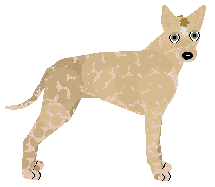Profile image of Dragosani SKAZANY NA BLUESA