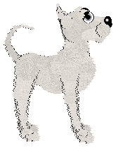 Poppyhill/APK's Torrential Downpour — “Exeter”