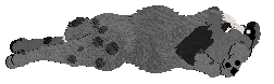 Profile image of Chachke/Arrow's Big Fish