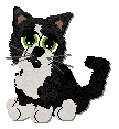 Profile image of ShortStuff The Loneliest Time