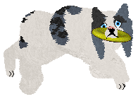 Profile image of Dragosani RELIKT PRZESZŁOŚCI