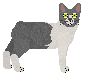 Starling Mind Kick — “Riddle”