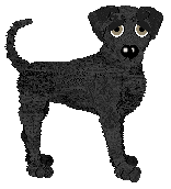 Chachke's Did I Blackout Last Night? — “Preto”