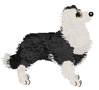 Come Bye's Bugs In Your Code — “Bellamy”