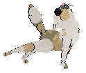 Rattlesnake's A Little Obsessive at Vanilla — “Herman”