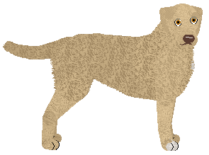 Profile image of MORPHEE's Diabolos