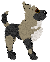 Mockingbird's Frosted Quavers For Two — “Serenade”