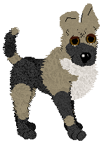 Profile image of Mockingbird's Frosted Quavers For Two