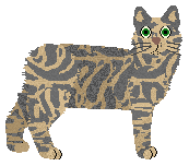 Pins'n'Needles' MOŻE TERAZ — “Miya”