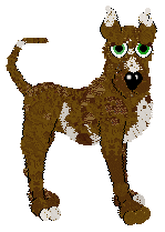 Profile image of Witz's Grumpy Old Coconut at Medusa