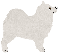 Monkshood Dance of the Ice Bear — “Tsunoda”
